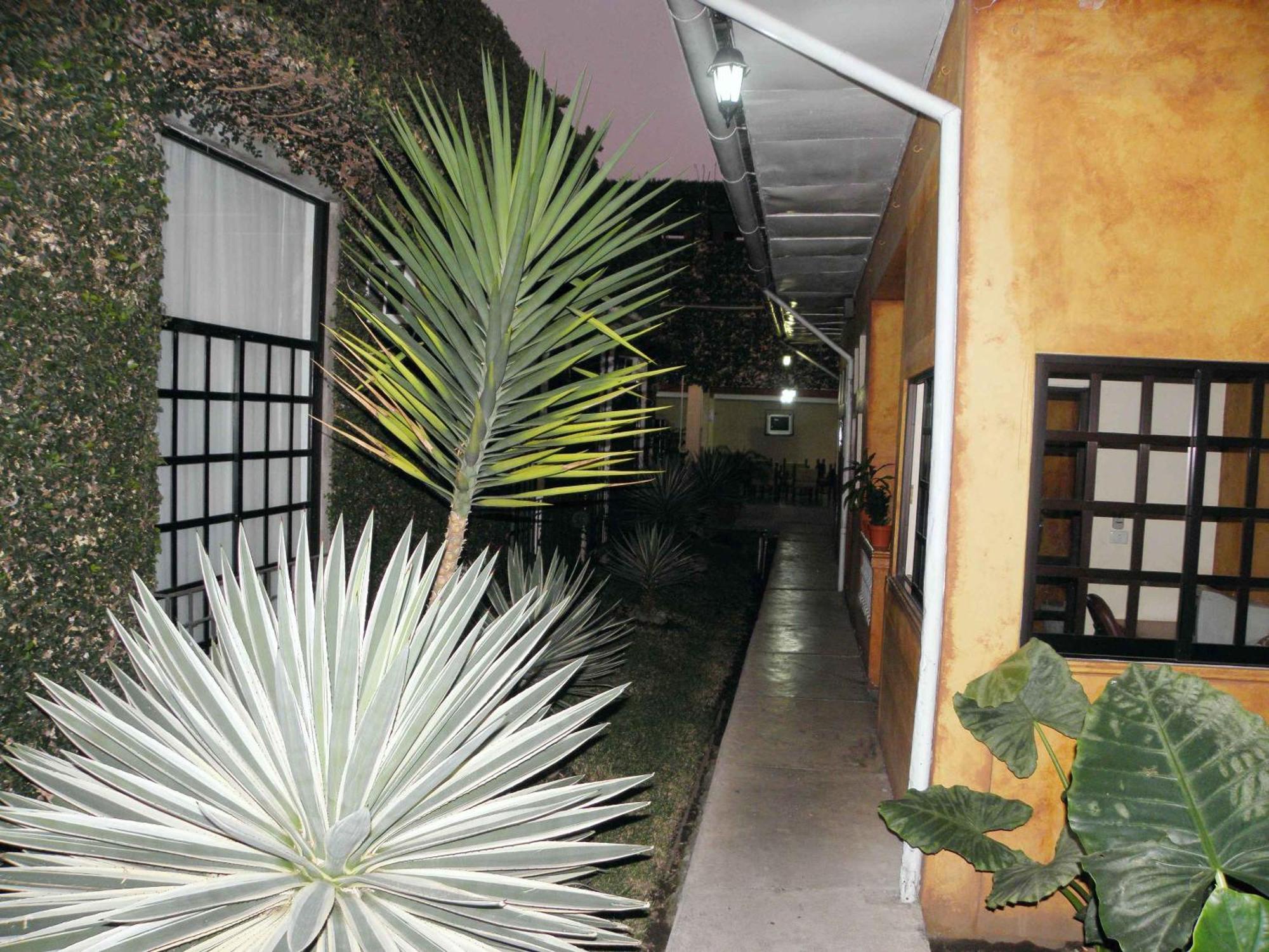 טפצ'ולה Hotel Fenix מראה חיצוני תמונה