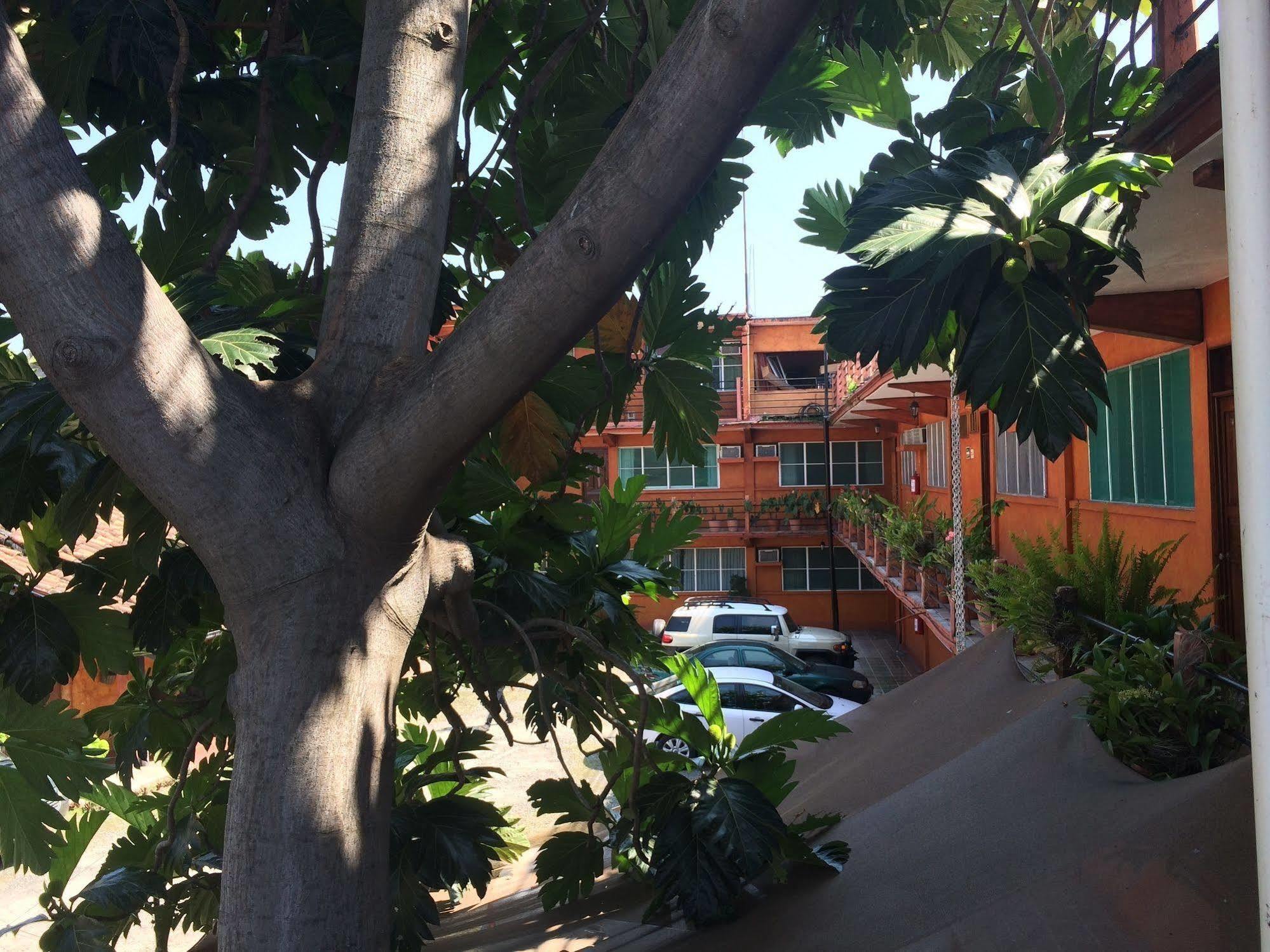 טפצ'ולה Hotel Fenix מראה חיצוני תמונה
